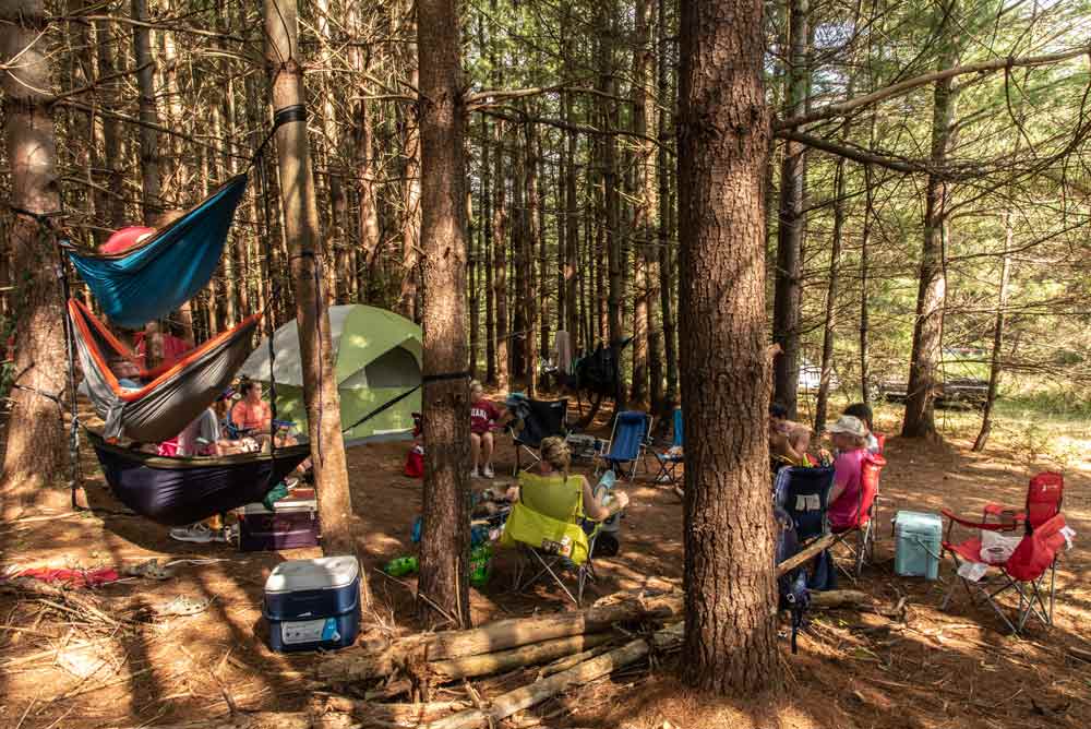 Tent and hammocks in the trees at Hammock'Sway