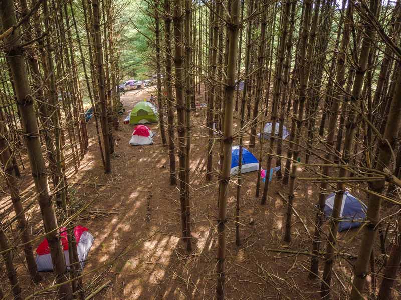 group tent camping area Tennessee forest